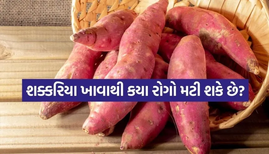Sweet Potato