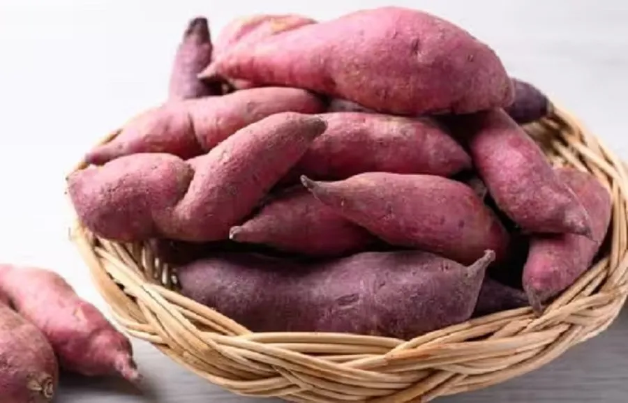 Sweet Potato
