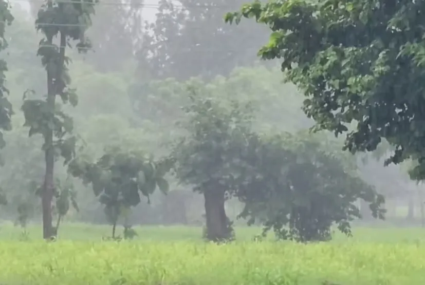 gujarat weather ambalal patel forecast 1.png