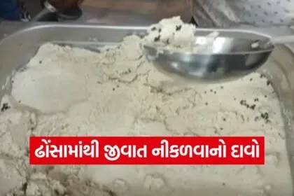 jamnagar sankalp restaurant case 1