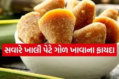 jaggery