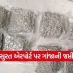 Surat airport hybrid weed seizure 1