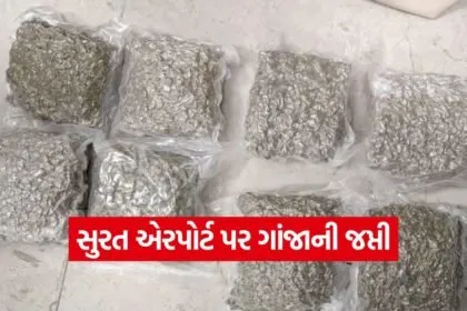 Surat airport hybrid weed seizure 1