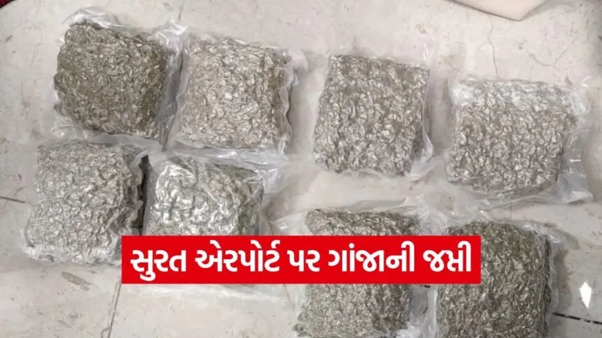 Surat airport hybrid weed seizure 1