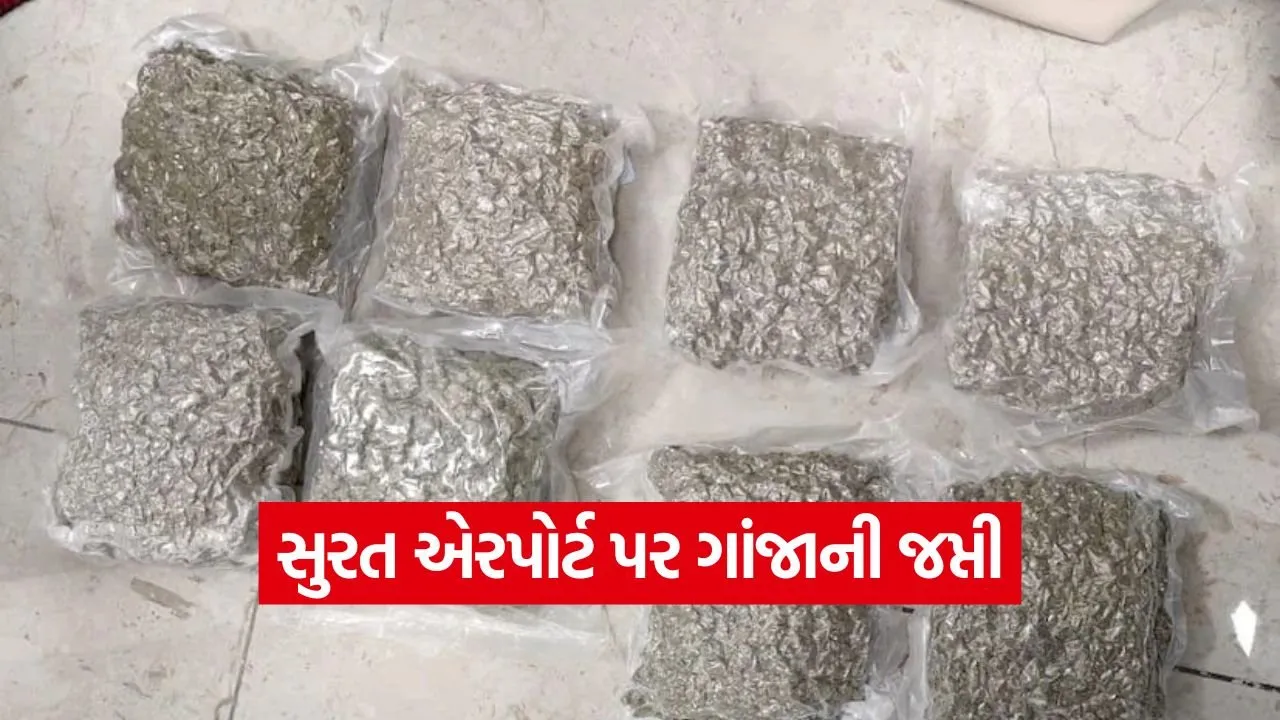 Surat airport hybrid weed seizure 1.jpg