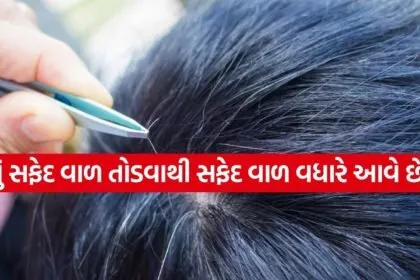 Hair