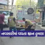dog bite cases navsari 1