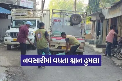 dog bite cases navsari 1