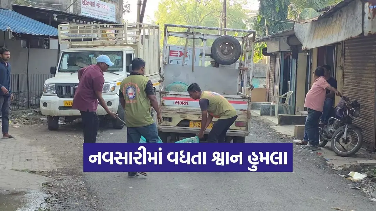 dog bite cases navsari 1.jpg