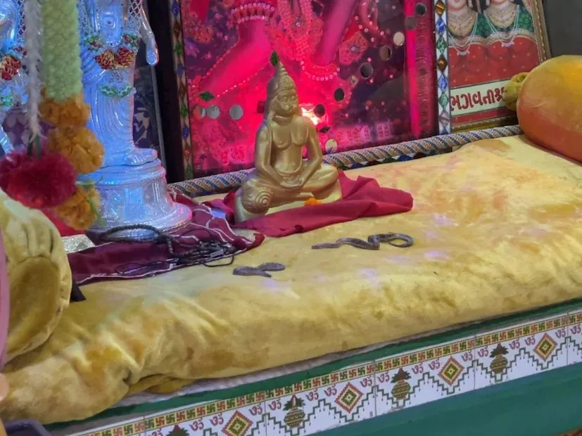 રાજકોટના ખેતલા આપા મંદિરમાંથી 52 સાપ મળી આવતા મહંતની અટકાયત અને લોકઆક્રોશ બાદ મુક્તિ 2 rajkot khetla aapa temple case 1.png