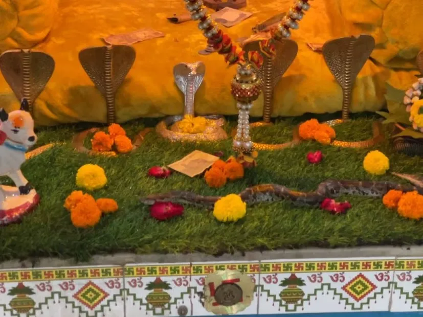 રાજકોટના ખેતલા આપા મંદિરમાંથી 52 સાપ મળી આવતા મહંતની અટકાયત અને લોકઆક્રોશ બાદ મુક્તિ 3 rajkot khetla aapa temple case 2.png