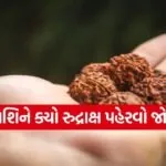 Rudraksha