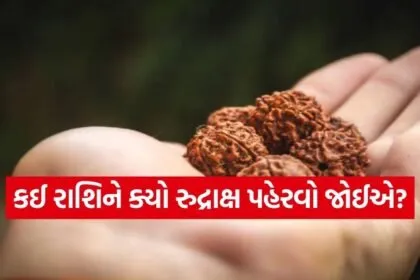 Rudraksha
