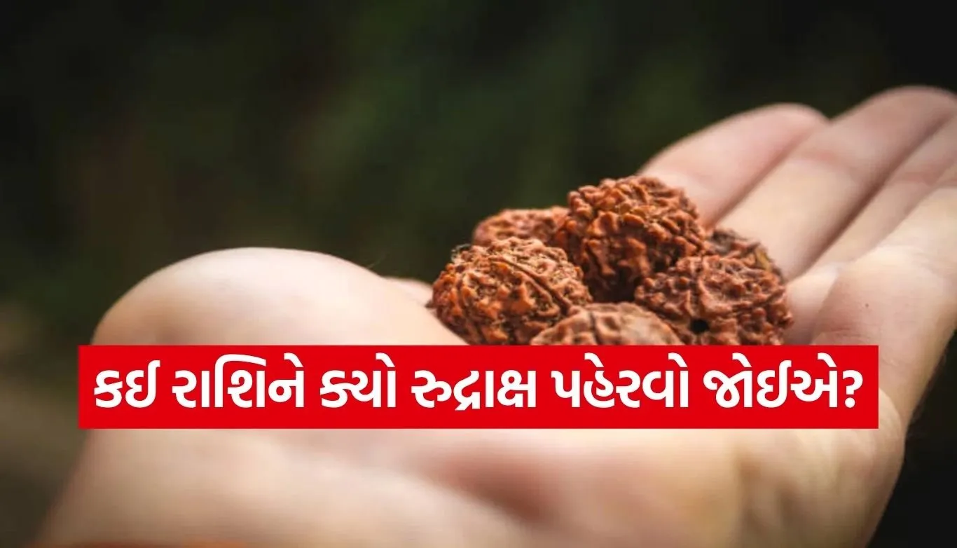 Rudraksha