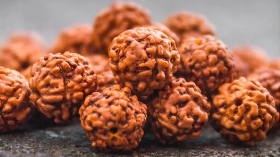 Rudraksha