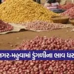 onion price crash bhavnagar 1