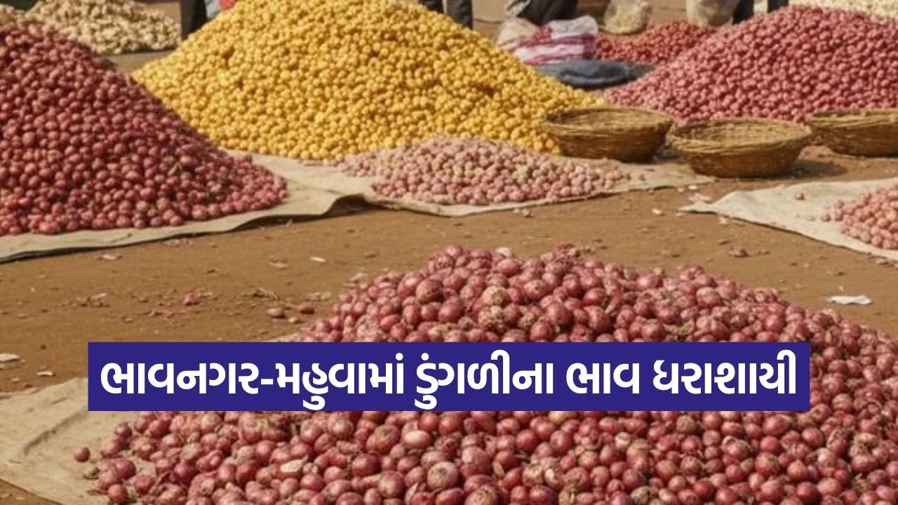onion price crash bhavnagar 1.jpg