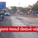 devla village sarpanch suspend 1