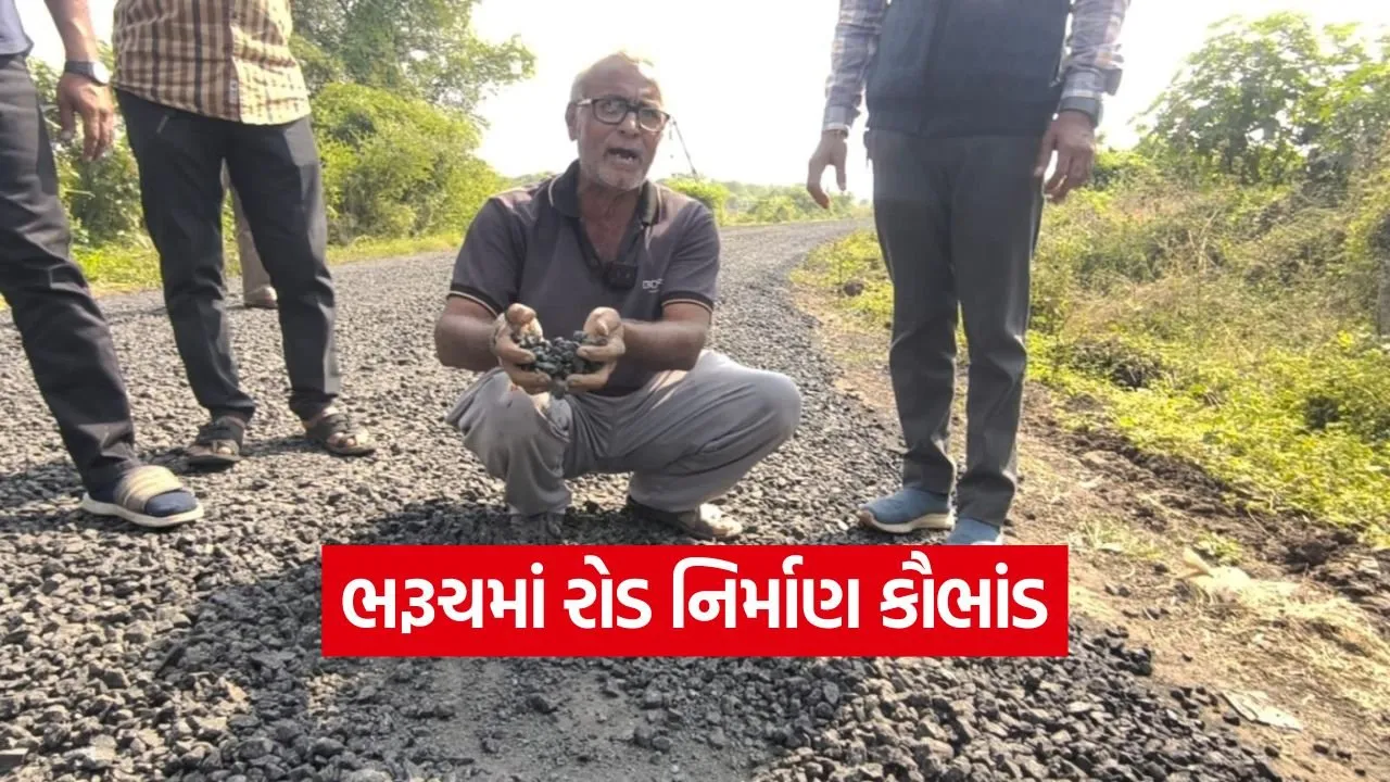bharuch road scam mansukh vasava 1.jpg