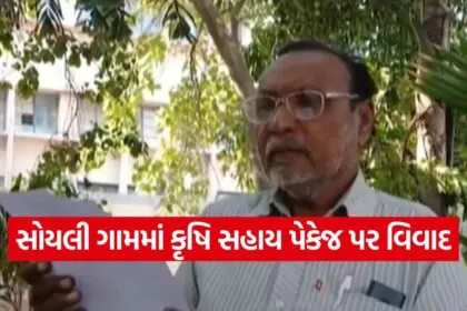 soili village subsidy scam 1