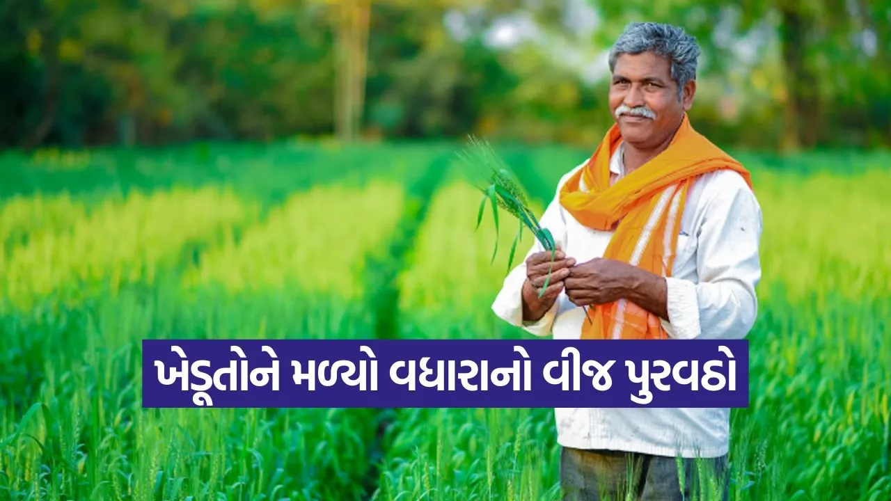 gujarat farmers power boost 1.jpg