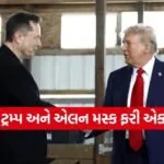 trump24