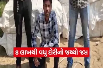 chinese manjha seizure Ahmedabad