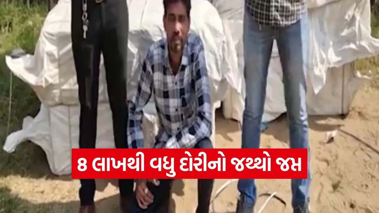 chinese manjha seizure Ahmedabad.jpg