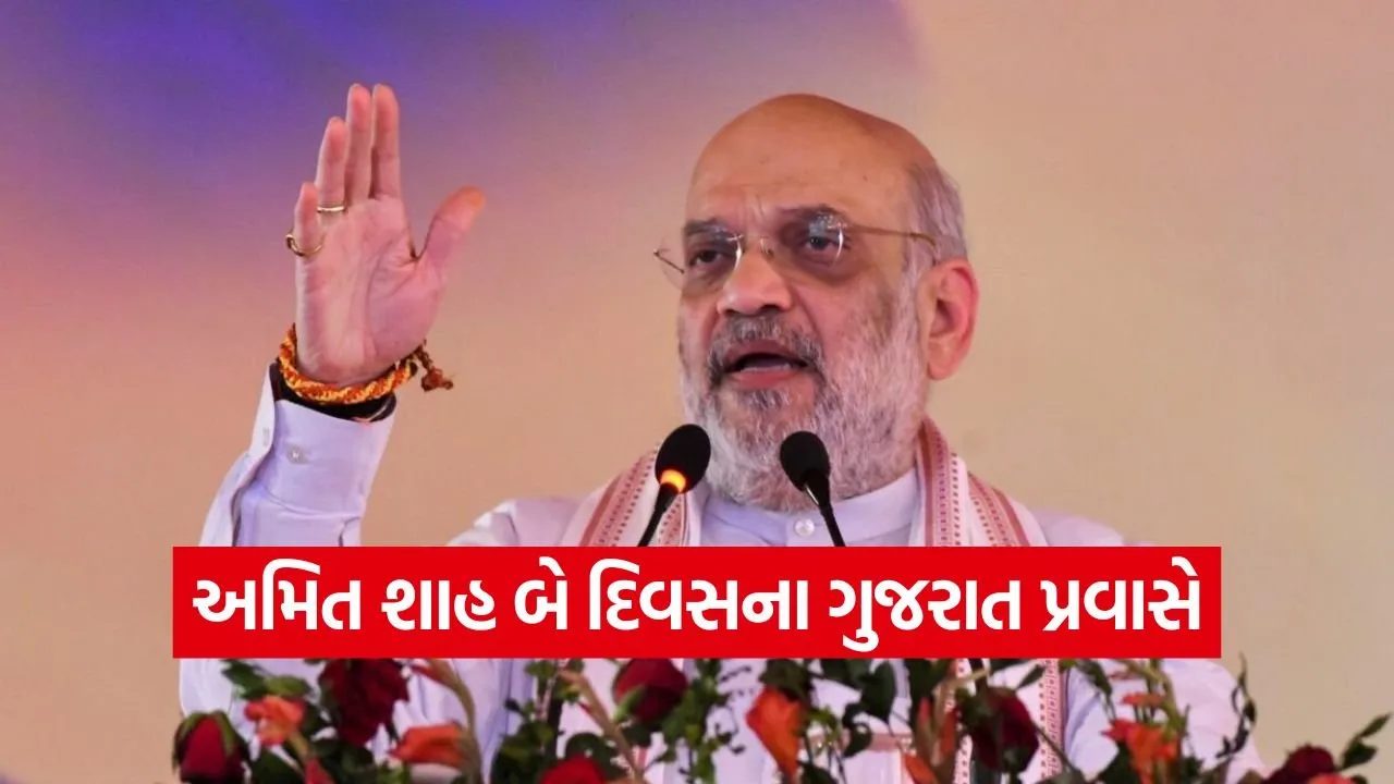 Amit Shah Gujarat visit 1.jpg