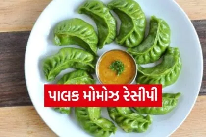 Spinach Momos Recipe