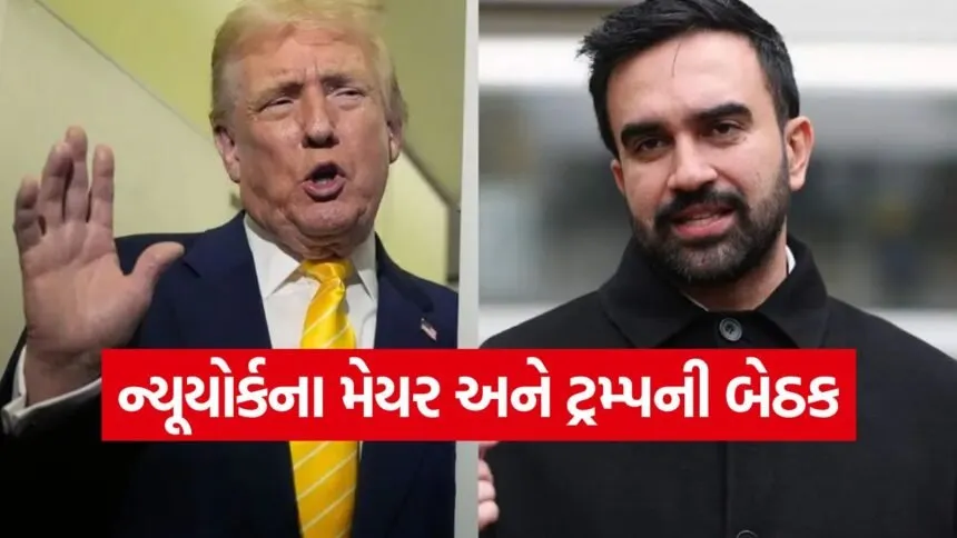 trump and mamadani