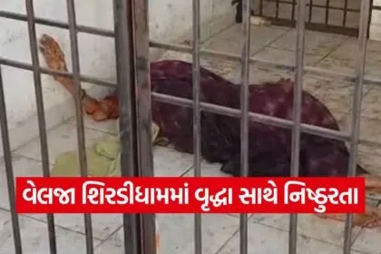 hemalata vakani surat case 1