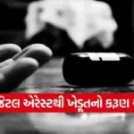 digital arrest fraud vadodara 1