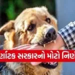 Dog bite