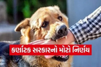 Dog bite