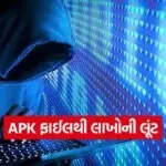 vadodara cyber fraud 1