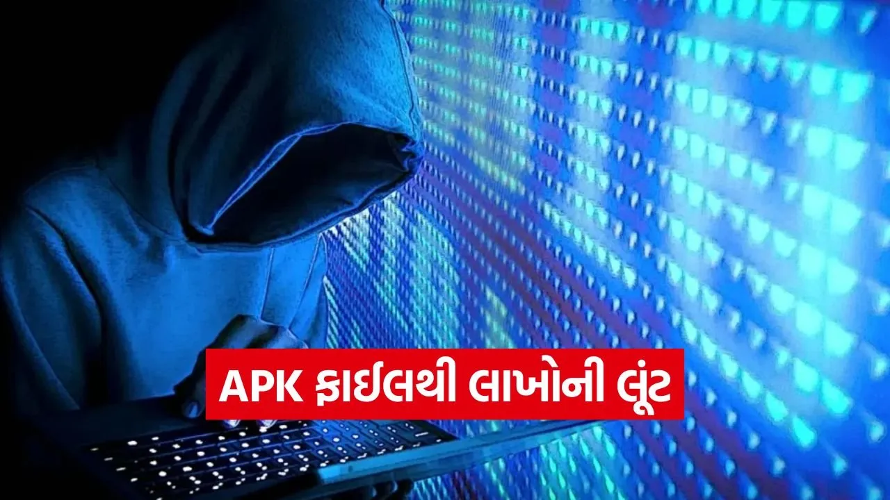vadodara cyber fraud 1.jpg