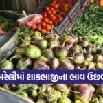 amreli vegetable price rise 1