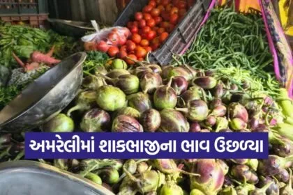 amreli vegetable price rise 1