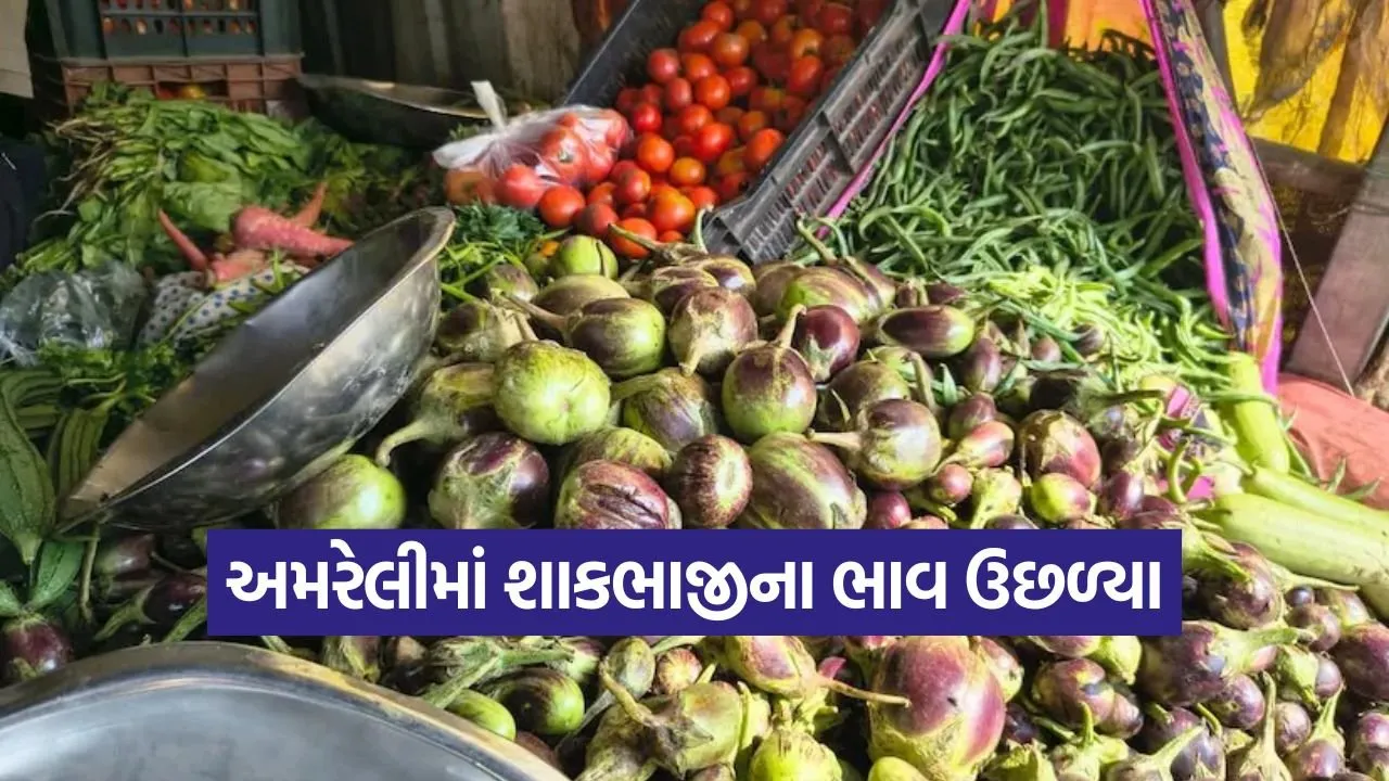 amreli vegetable price rise 1.jpg