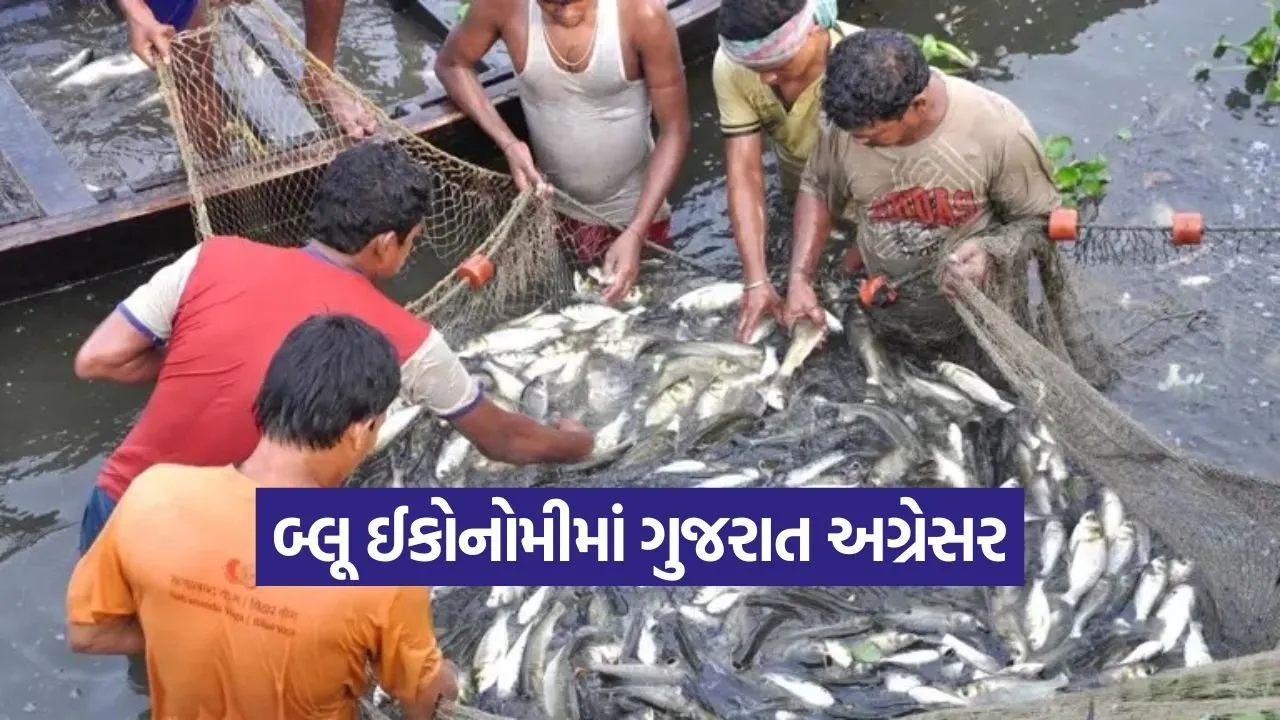 gujarat blue economy 1.jpg