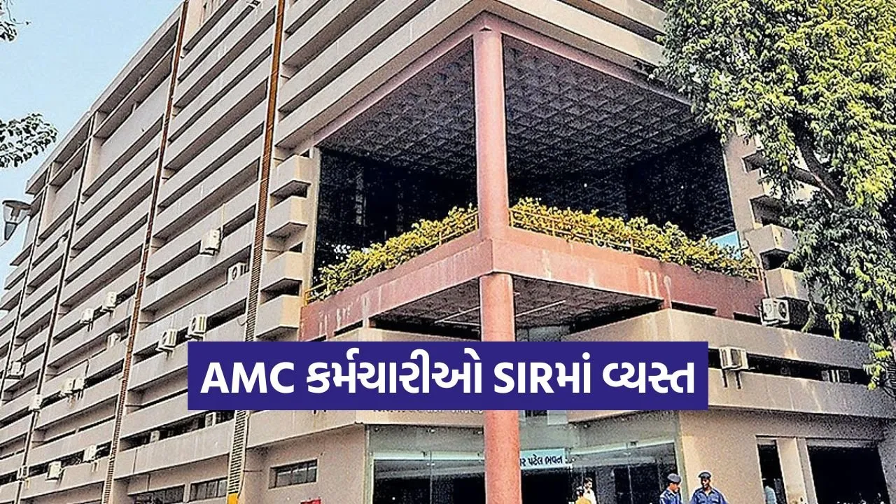 AMC staff deployment 1.jpg