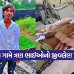 wankaner mahika mineral mafia case 1