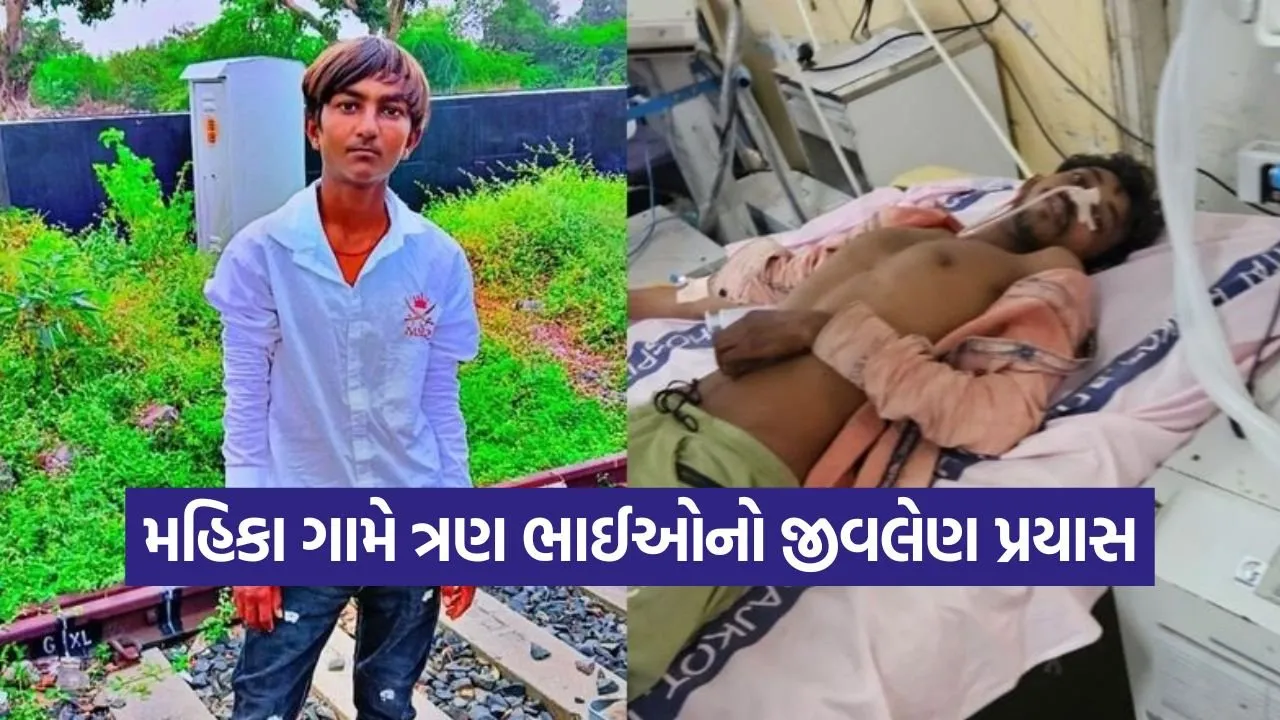 wankaner mahika mineral mafia case 1.jpg