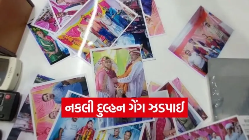 fake bride scam 1