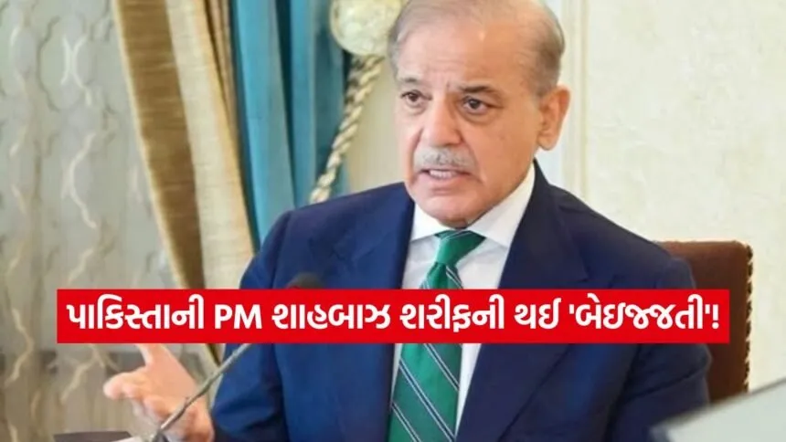 shahbaz1