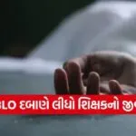 SIR BLO workload