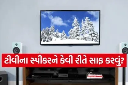 TV Speaker
