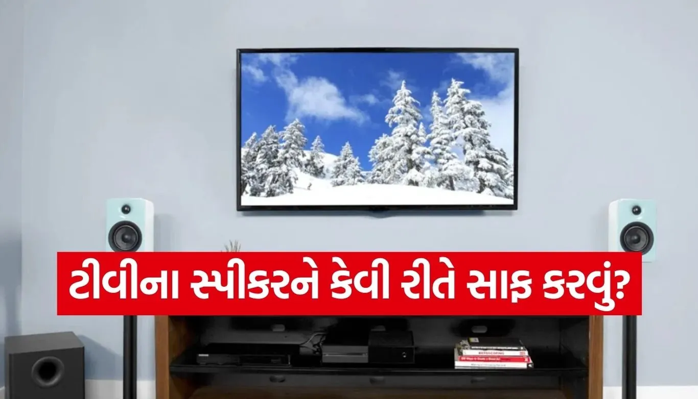 TV Speaker