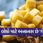 pineapple2